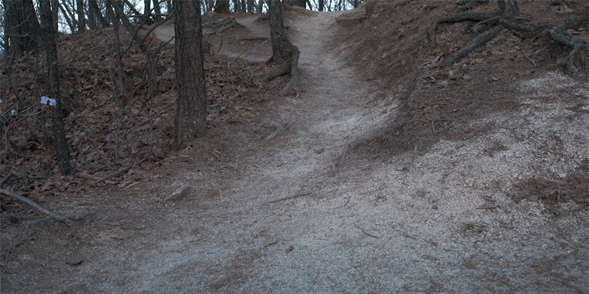 6638eeb7ffb6531d8ced7348cf84d0f8_1781514374_2729.gif